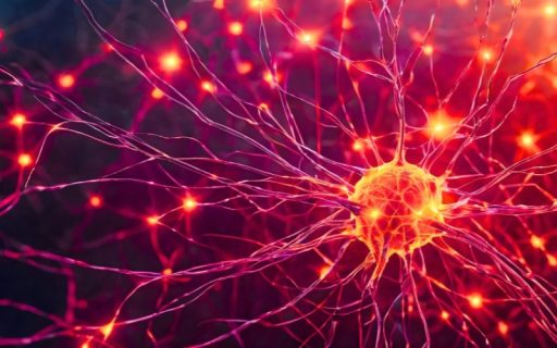 Engineering Nanomedicines for Targeted Neuroimmune Modulation