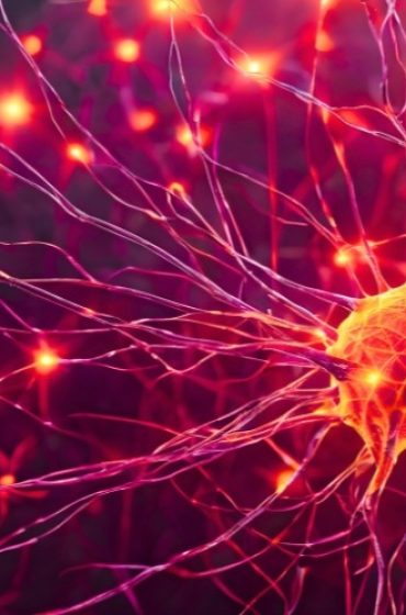 Engineering Nanomedicines for Targeted Neuroimmune Modulation