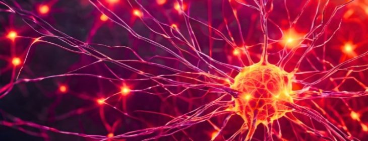 Engineering Nanomedicines for Targeted Neuroimmune Modulation